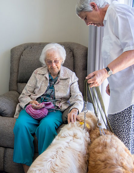 The Groenkloof Care Services